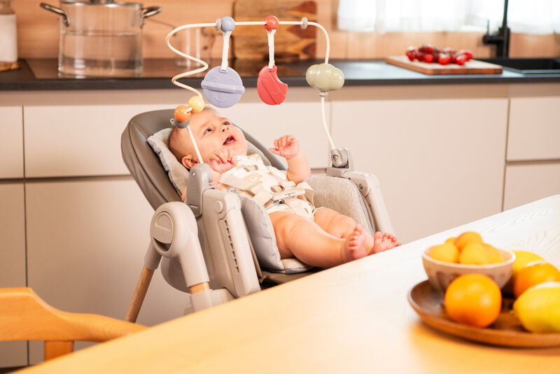 Polly Armonia Highchair Scandinavian image number 16
